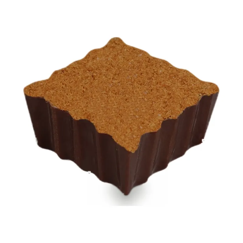 A dark chocolate square dusted with cocoa