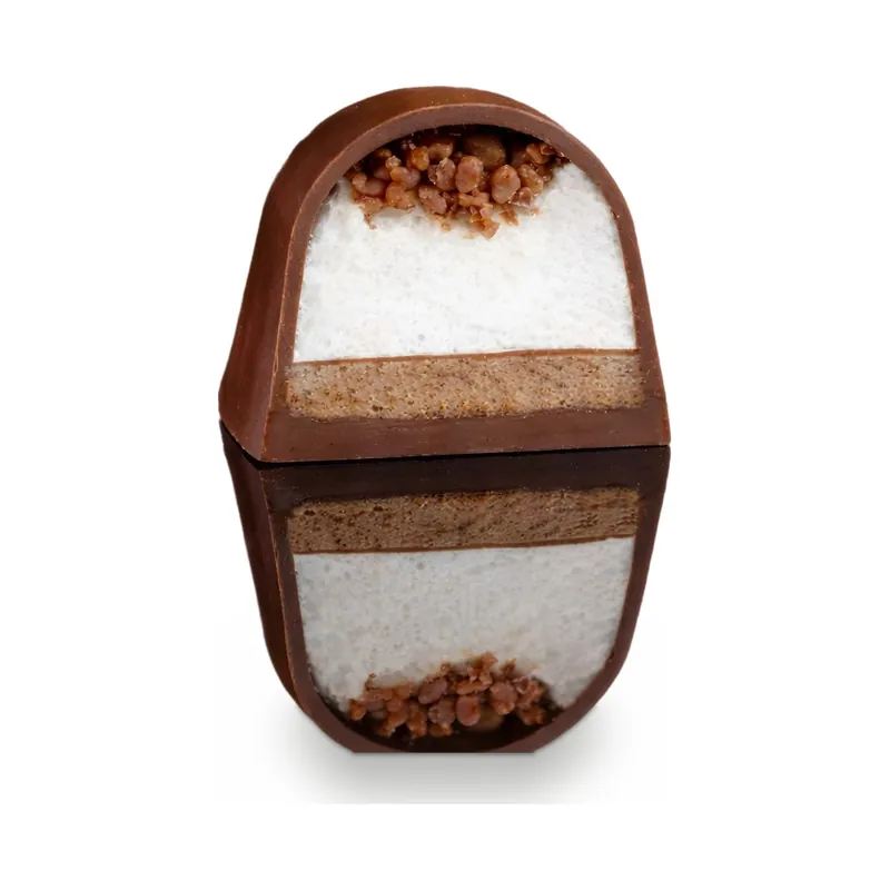 A chocolate piece cut to show coconut and biscuit layers